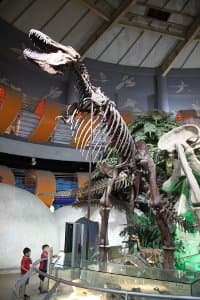 Image for: Jurassic Park, the full sound experience on my home theater: Jeep chase and raptors